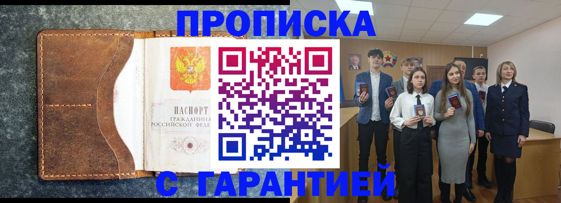 прописка 2025 в Звенигово